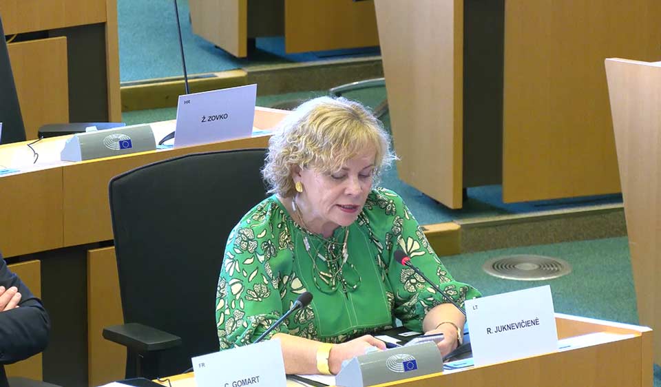 MEP Rasa Juknevičienė: EU has important role to play to review its relationship with Georgia