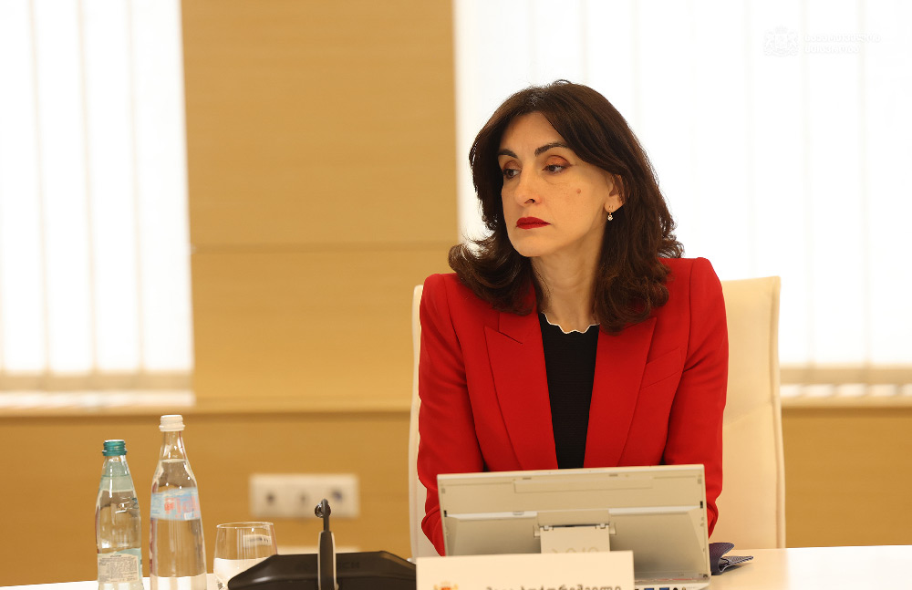 FM Botchorishvili: GD government did everything for visa liberalization