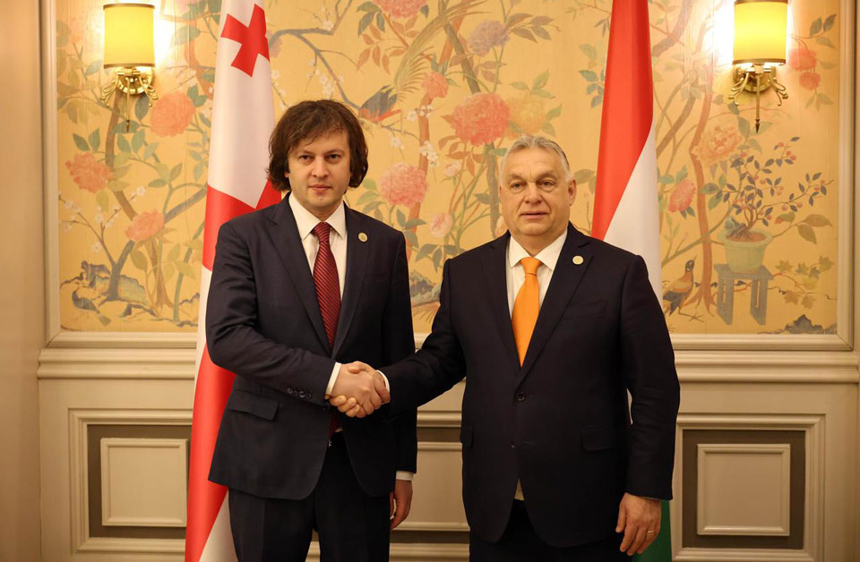 Georgian PM meets his Hungarian colleague