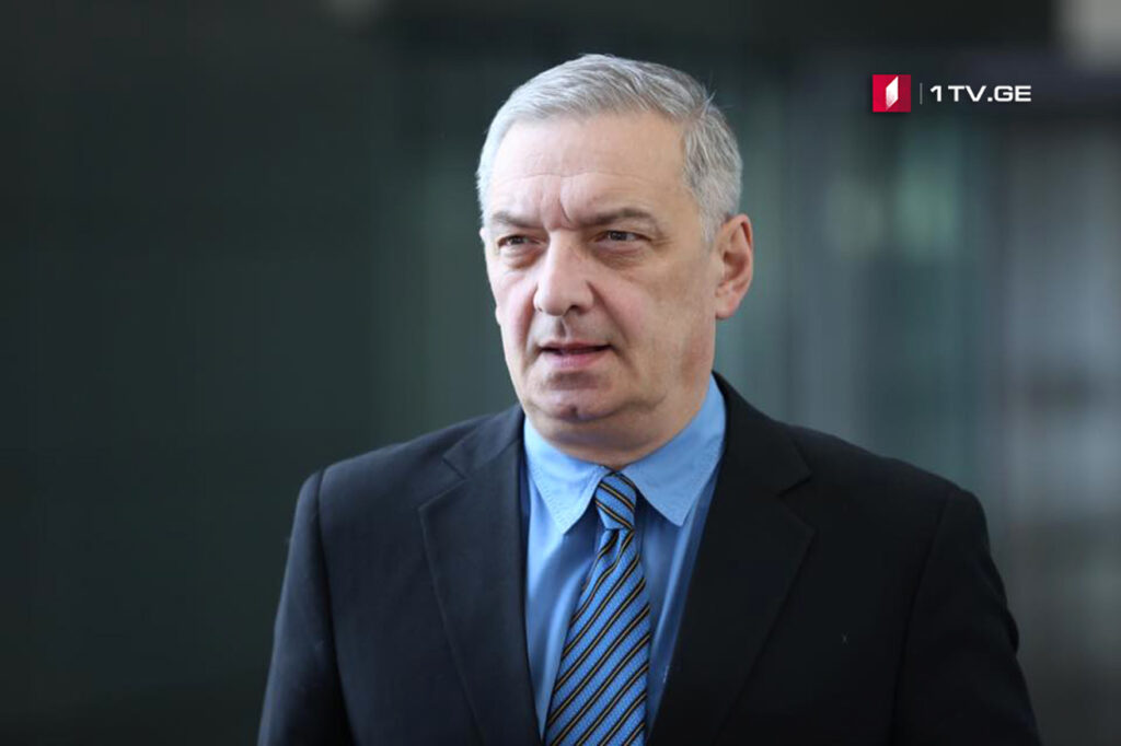 Гия Вольский - Безвизовый режим нелегко остановить, Евросоюз должен изменить регламент, это также было бы бесстыдным отношением к стране-кандидату, которая опережает других
