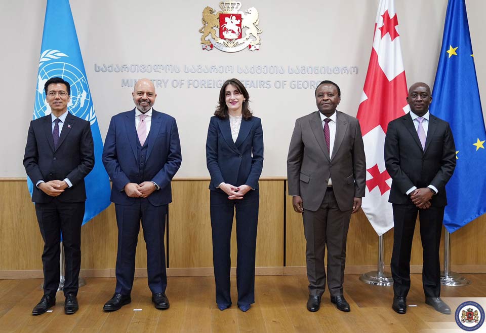 FM hosts UN-accredited permanent representatives in Georgia