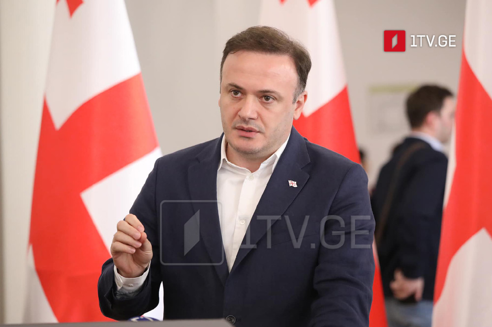GD's Zarkua: Radical opposition's final chapter is internal strife—they will vanish like last year's snow