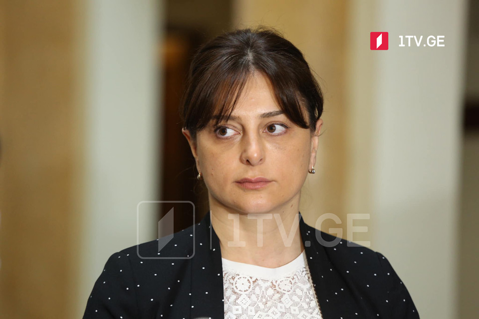 MP Bitadze: Georgia plays vital role in connecting Europe and Asia’s energy markets
