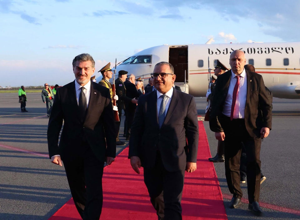 Georgian President kicks off visit to Armenia