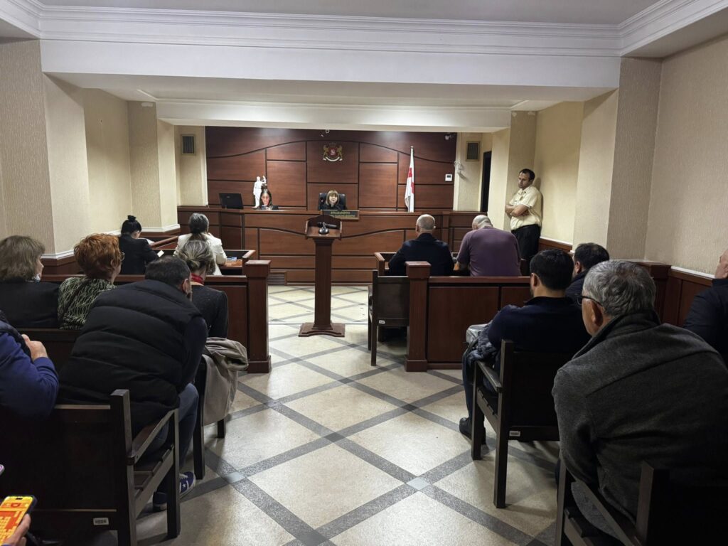 Nika Melia granted GEL 50,000 bail for failing to attend investigation commission session