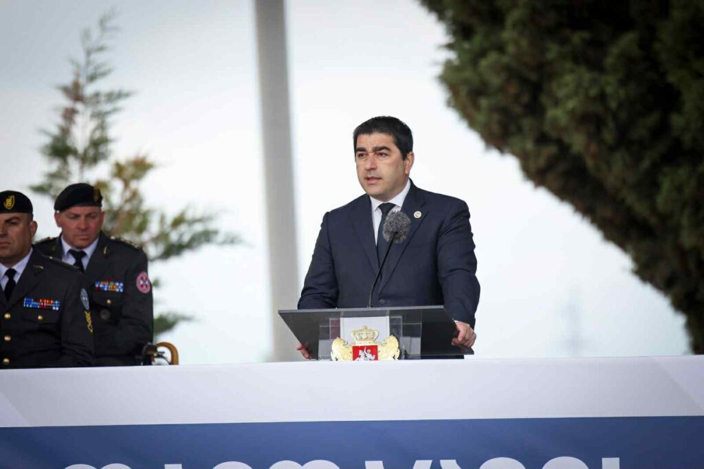 Speaker on Defence Forces Day: Georgia averted becoming battlefield amidst global powers' conflict