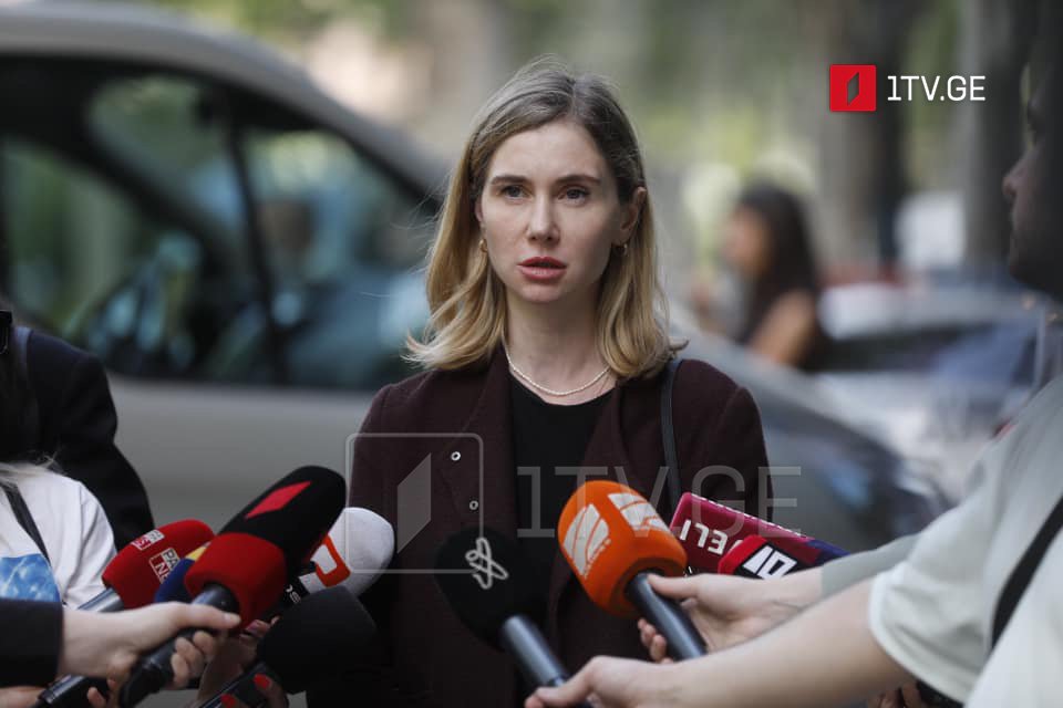 UNM Chair: Europe demands release of Mikheil Saakashvili, all political prisoners, new elections