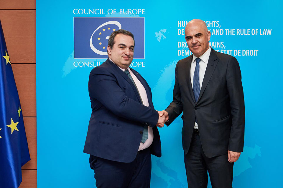 CoE Deputy Ministers review General Secretary's consolidated report on Georgia