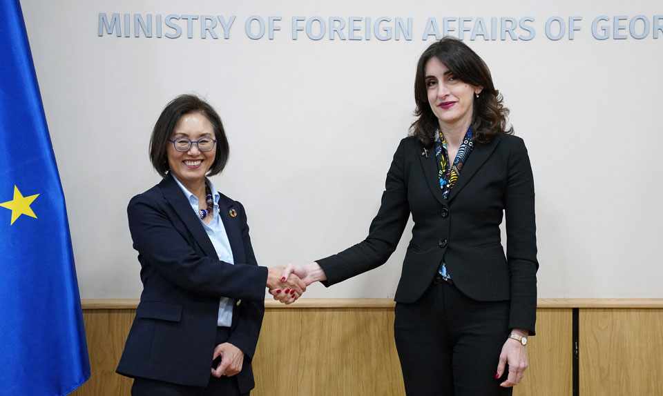 FM Botchorishvili discusses strategic cooperation with UN DCO Regional Director