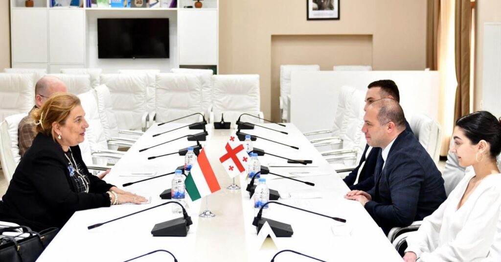 MP Givi Mikanadze meets Hungarian Ambassador