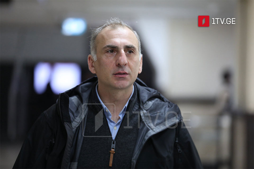 Strong Georgia's Elisashvili: Large march planned on May 26 to show our American friends that we are fighting