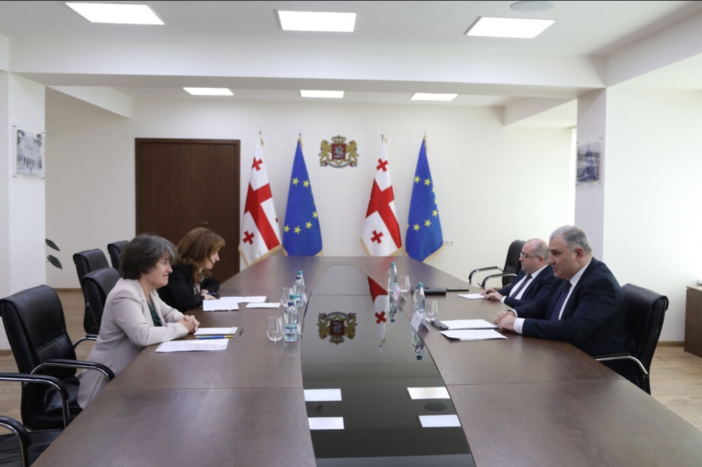 Միխեիլ Սարջվելաձեն հանդիպեց Քեմլին Ֆուրլիի հետ
