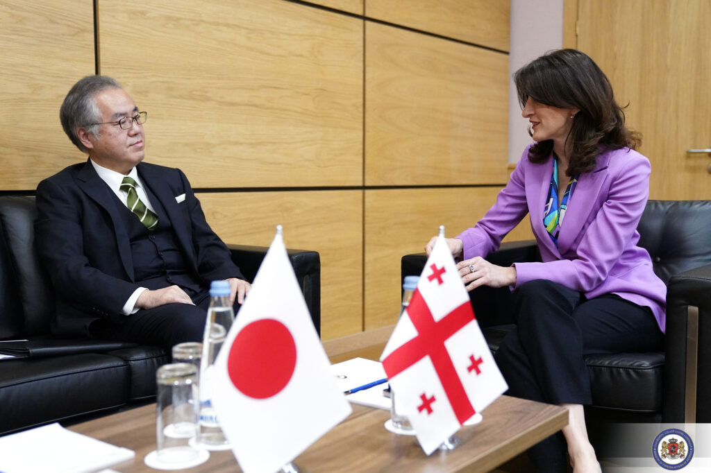 Georgian Foreign Minister meets Japanese Ambassador