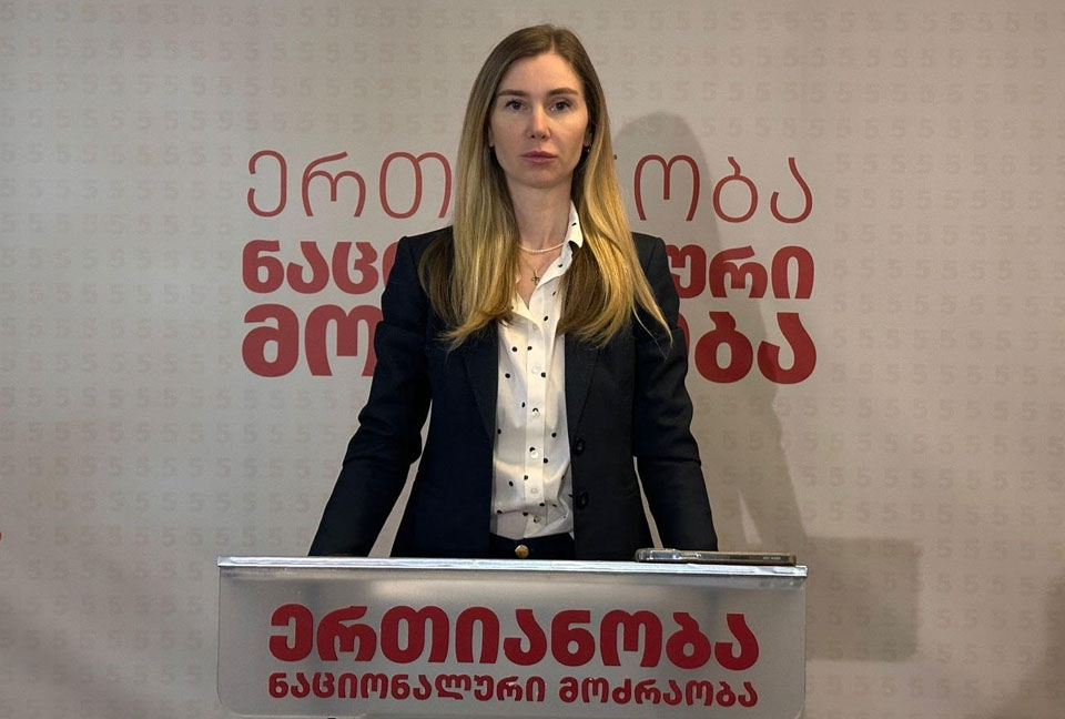 UNM leader: Today's march celebrates Georgian people's clear European choice