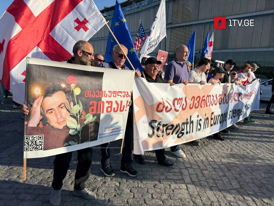 Demonstration in Tbilisi marks Europe Day with march toward Europe Square