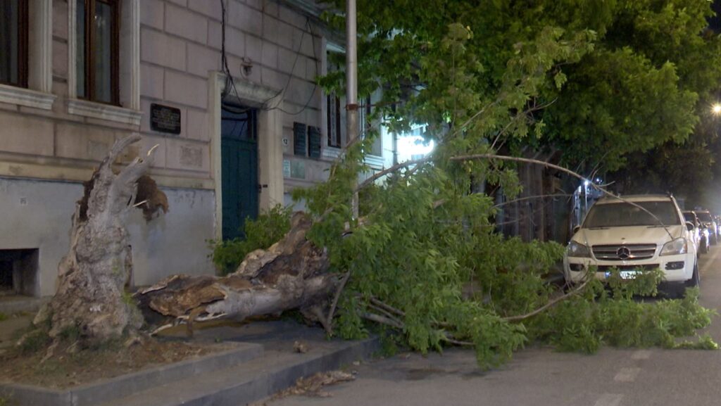 Wind damage recovery operations continue in Batumi