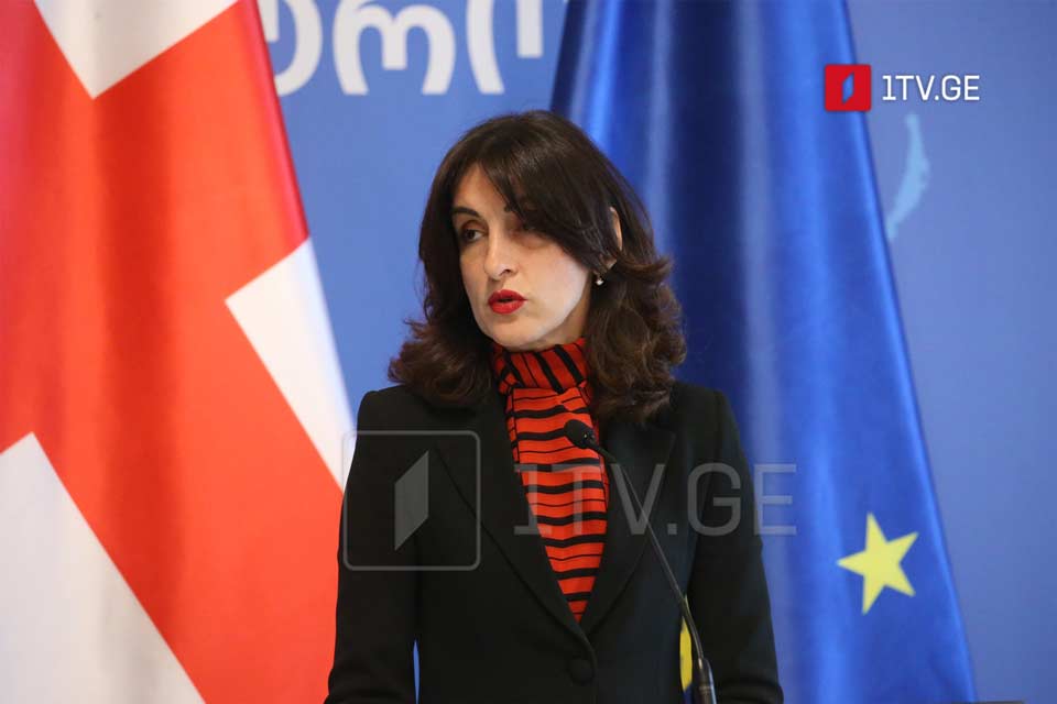 FM emphasises importance of upholding democratic processes at CoE ministerial