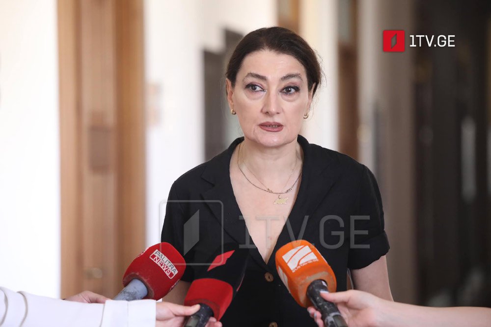 Former opposition MP Tako Charkviani says ex-president Salome Zourabichvili’s leadership fails