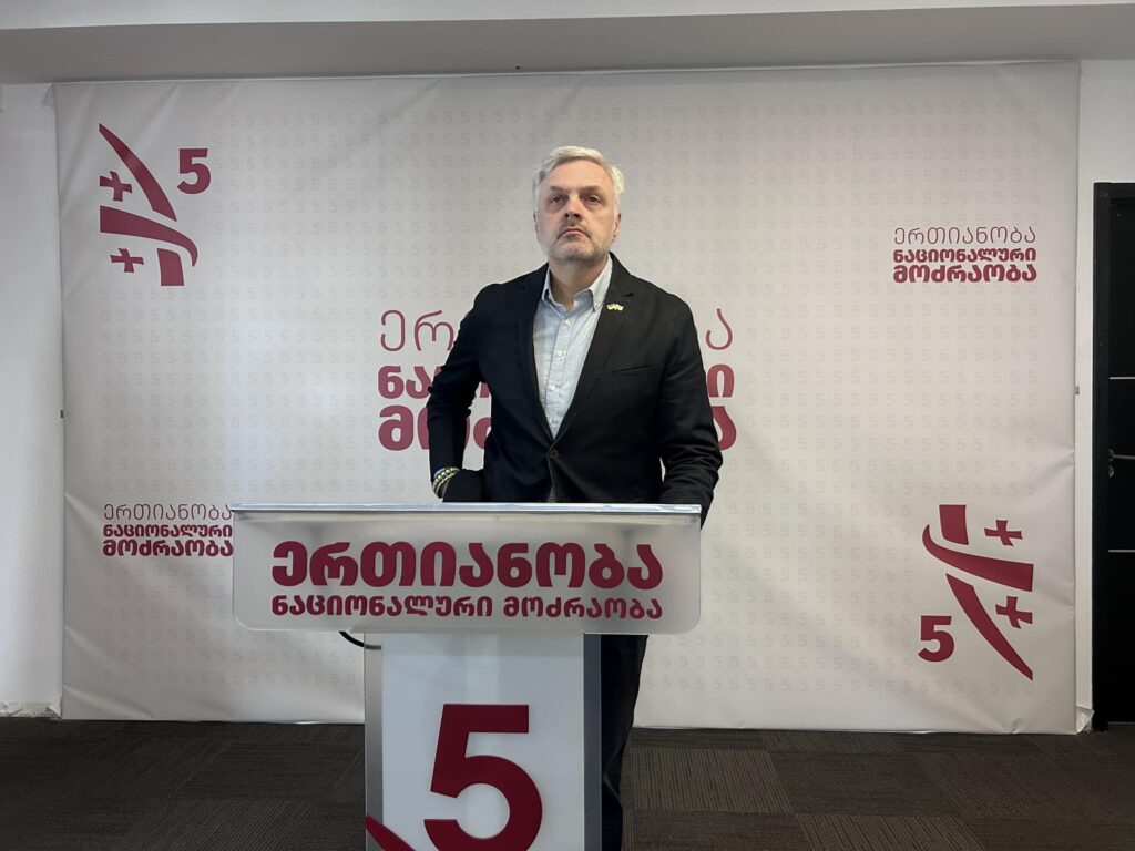 UNM's Baramidze warns of disguised opposition parties allegiant to government