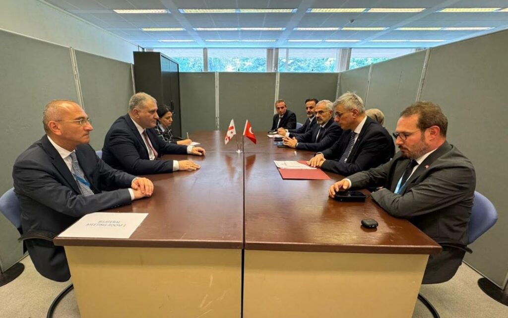 Georgia’s Health Minister meets Turkiye's counterpart in Geneva