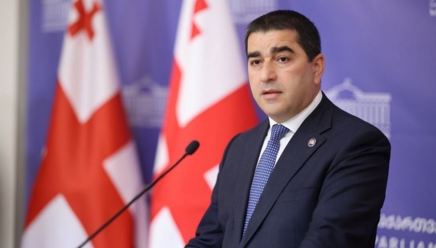 Շալվա Պապուաշվիլի - Լիտվայի որոշումը «Եվրոպական Միության և Վրաստանի միջև վիզաների տրամադրման ընթացակարգի պարզեցման մասին» համաձայնագրի կոպիտ խախտում է