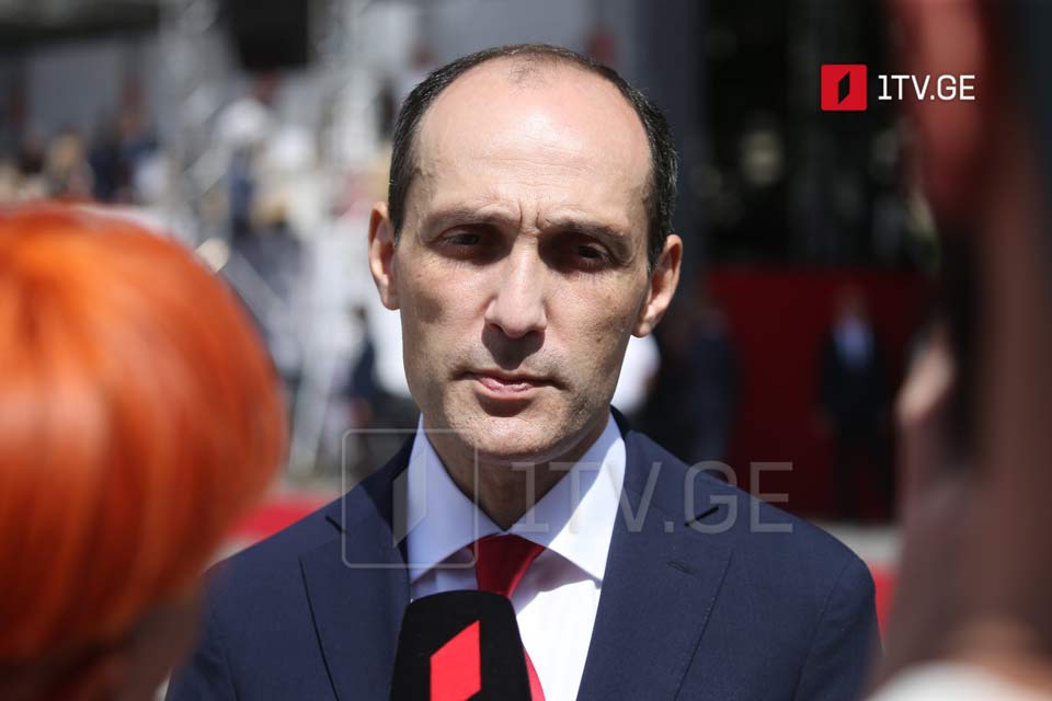 First Vice PM Davitashvili: Georgia’s Independence unites all, beyond politics