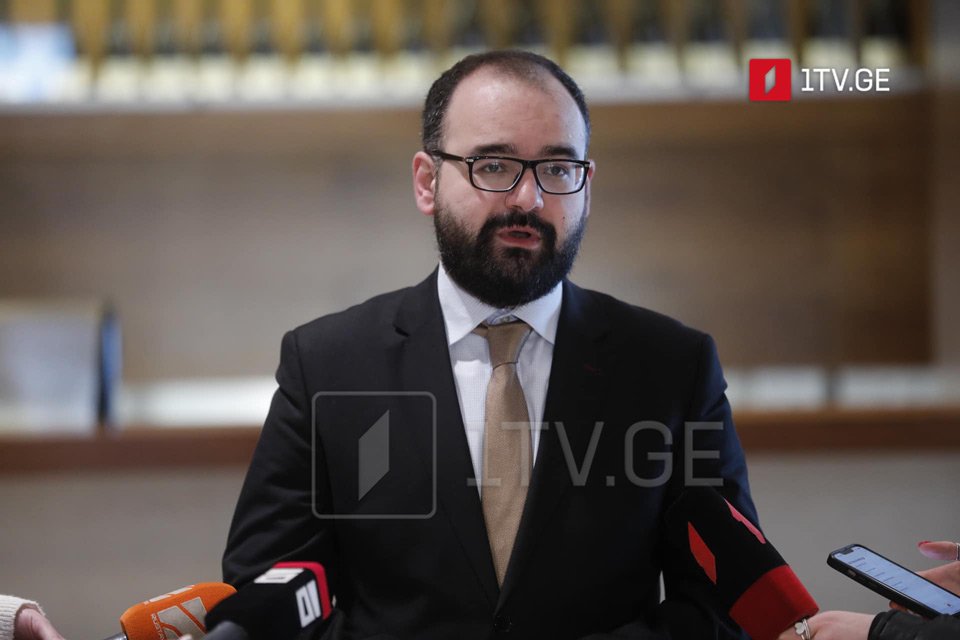 Lelo's Gegelia: U.S. statement confirms no cooperation with GD without meeting America's demands