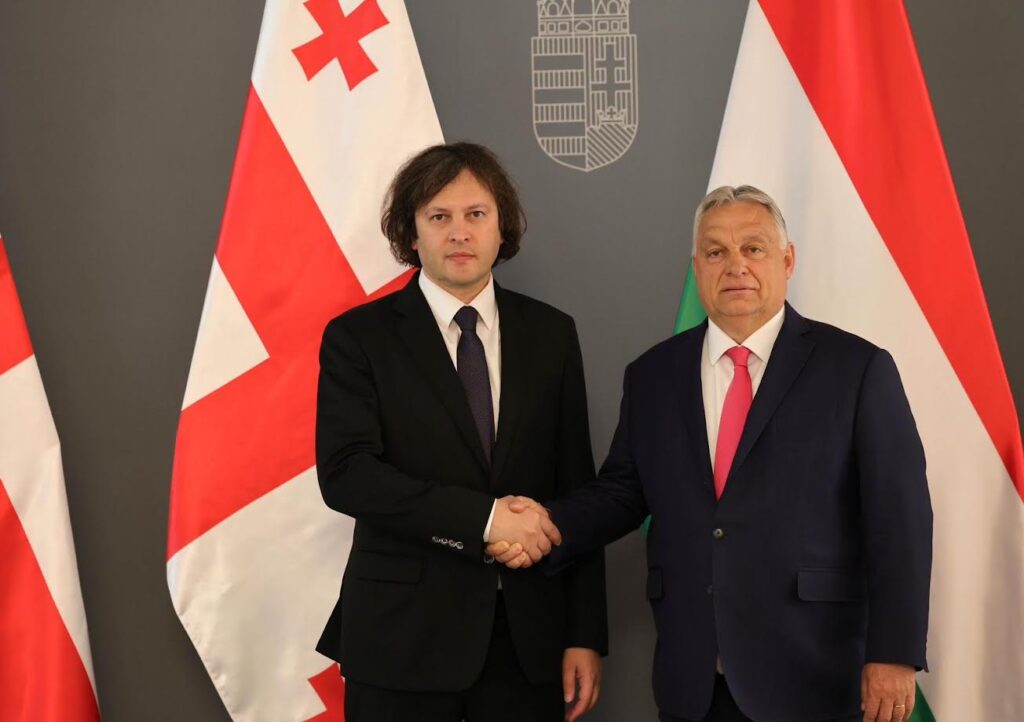 Georgian PM meets Hungarian colleague