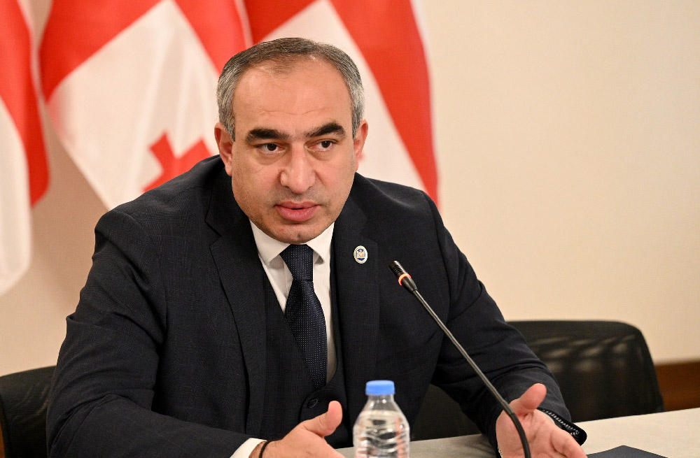 MP Bozhadze: Investigation confirms MIA has never possessed or used ‘camite’