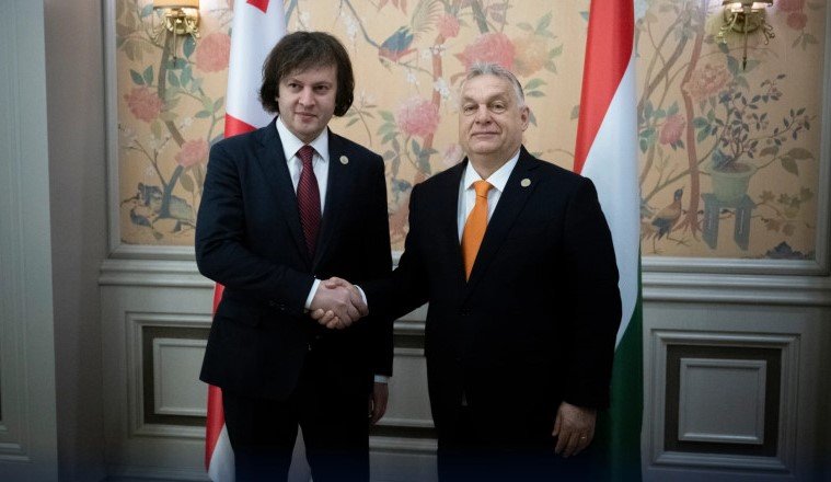 Hungarian, Georgian PMs review economic, trade ties