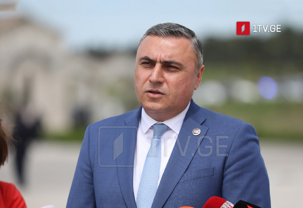 MP Matikashvili does not rule out that "unprincipled radical opposition" register for local elections