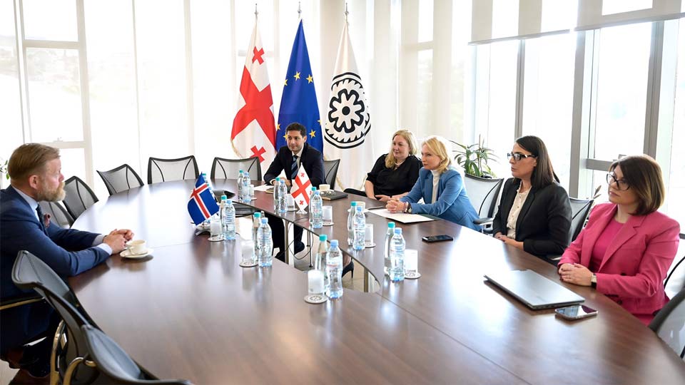 NBG Governor meets Governor of Central Bank of Iceland