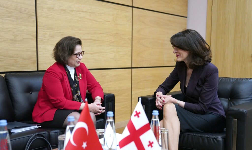 Georgian FM engages with Deputy FM of Turkiye