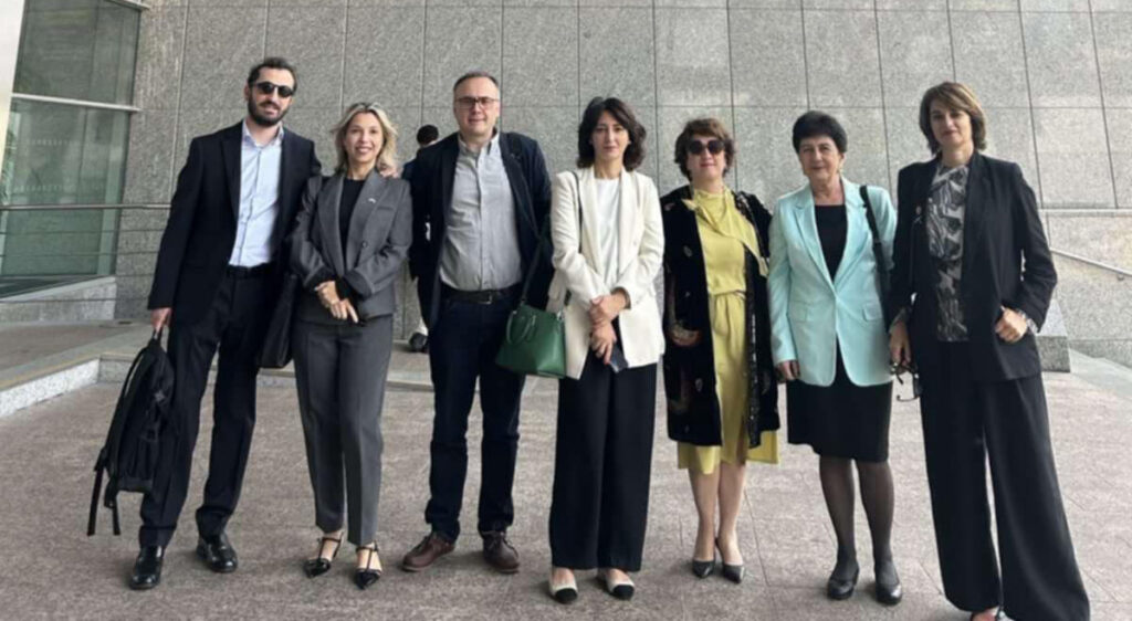 Heads of Georgian NGOs attend EP’s extraordinary Human Rights Subcommittee session