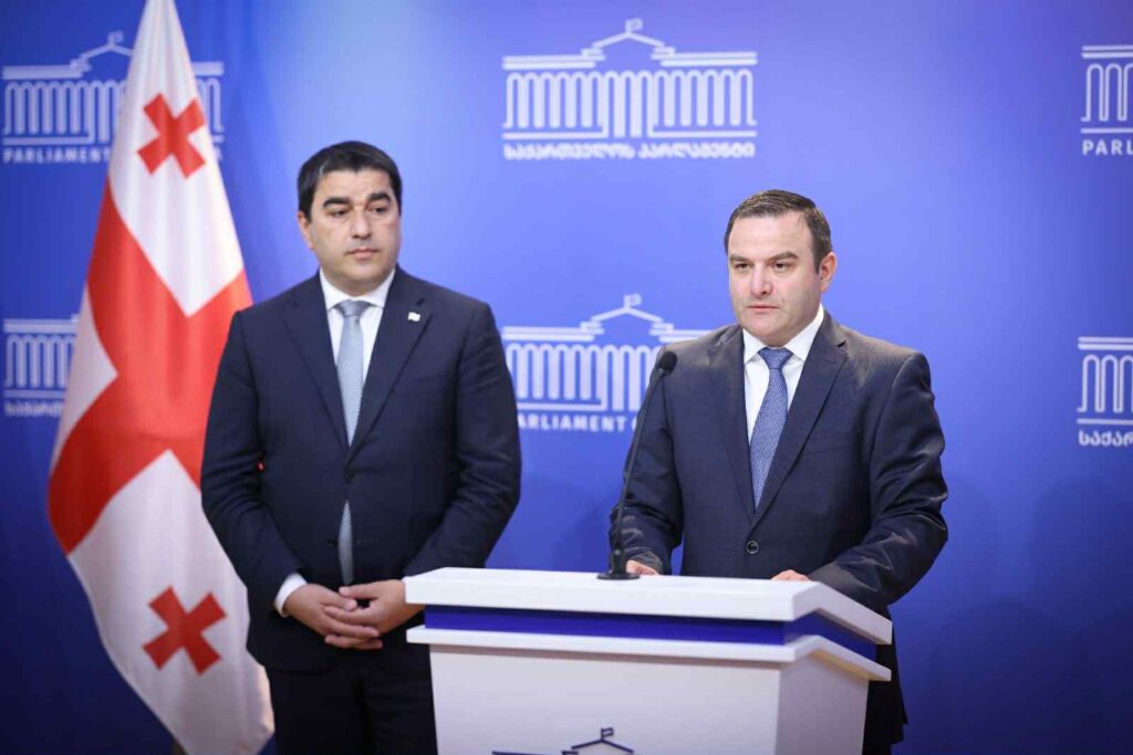 Giorgi Gabitashvili nominated as new Auditor General of Georgia