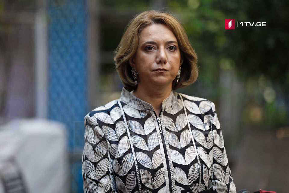 Lelo's Samadashvili sees new U.S. Ambassador’s approval and MEGOBARI Act as key to elevating Georgia in Washington