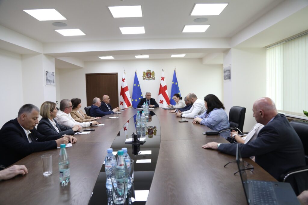 Mixeil Sarcveladze Peşəkar İnkişaf Şurasının üzvləri ilə görüşüb