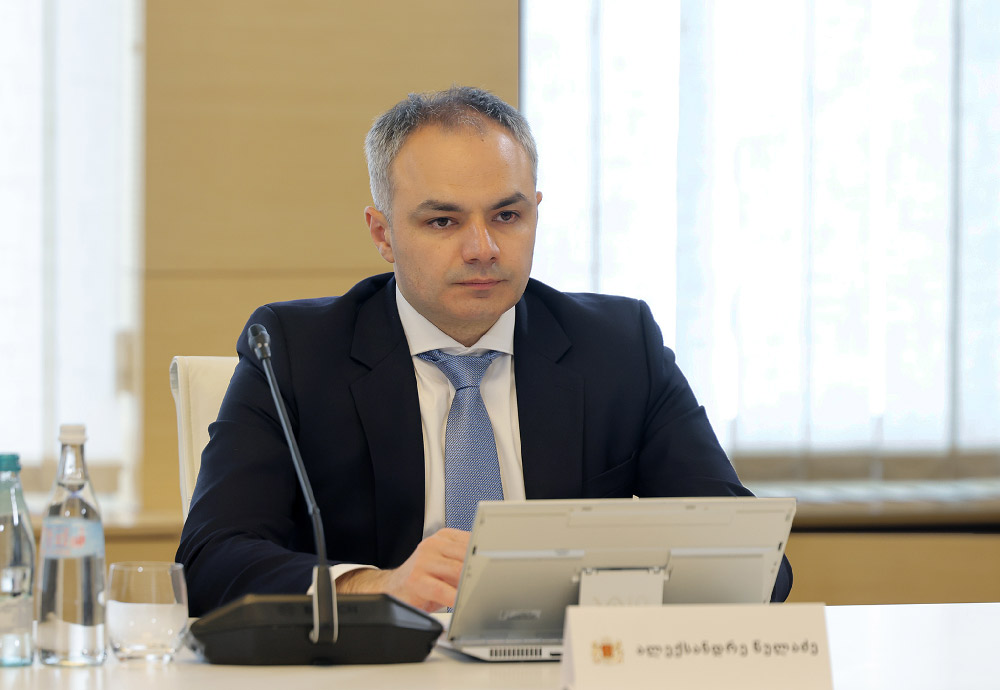 Education Minister: Georgia-Hungary Summit yields tangible results; cooperation to grow further