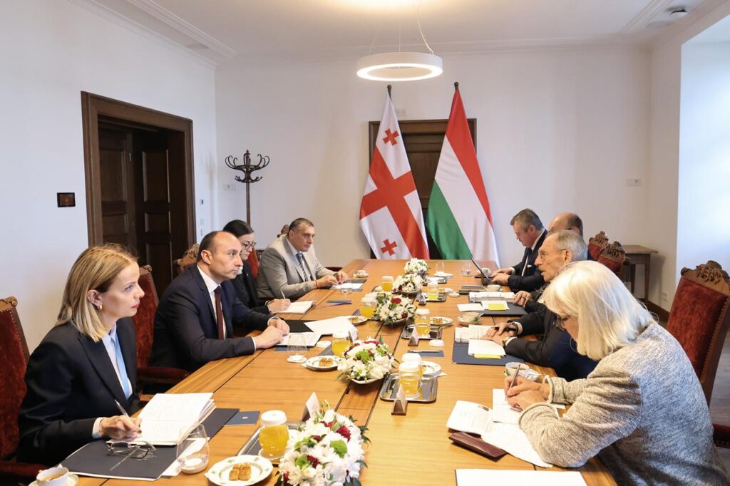 Daxili işlər naziri Qela Qeladze Macarıstanda rəsmi səfərdədir