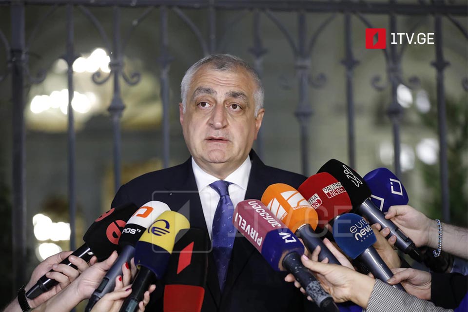 Mamuka Xazaradze, Salome Zurabişvili ilə bugünkü görüşün "Müqavimət Platforması"nın bərpası məqsədilə baş tutduğunu bildirir