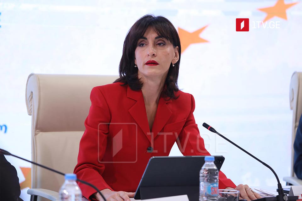 FM: Opposition often exploits visa-free travel debate, despite limited support in Brussels