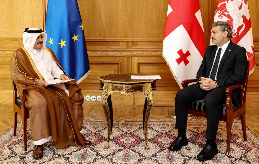 Georgian President meets Qatari Ambassador
