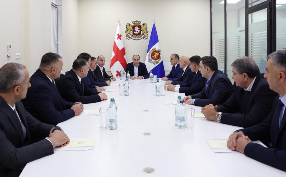 Daxili işlər naziri Kvemo Kartli bölgəsində işgüzar görüşlər keçirib
