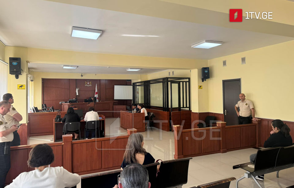 Mzia Amaglobeli fined 1,000 Lari for poster display