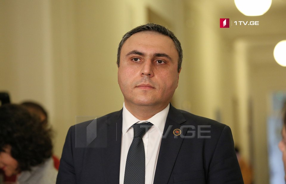 Davit Matikaşvili - Gürcü xalqı, üstəlik hakimiyyət təzyiqə, zorbalığa boyun əymir