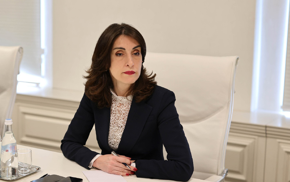FM on EU candidate status: They told us Georgia won't get it, awaiting 85% pro-EU public's response to GD