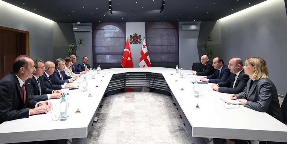 Gürcüstanın daxili işlər naziri Türkiyə Parlamentinin Təhlükəsizlik və Kəşfiyyat Komitəsinin sədri ilə görüş keçirib