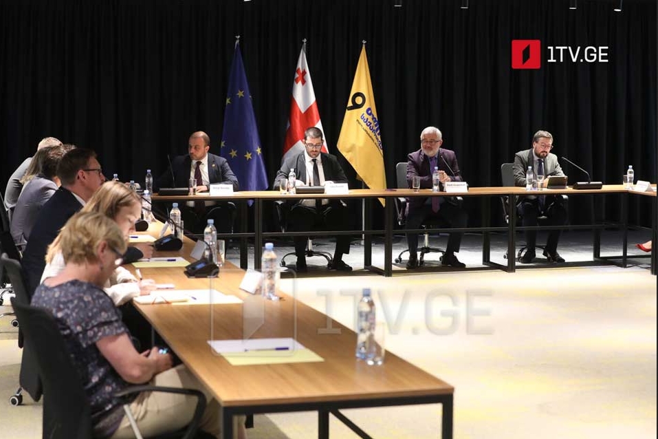 «Լելո» կուսակցության անդամները հանդիպում են անցկացրել դիվանագիտական կորպուսի ներկայացուցիչների հետ
