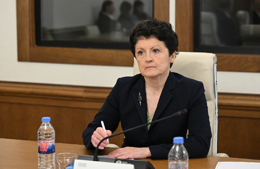 Tsulukiani: Georgia with biometric passports was denied visa-free as not ready; Moldova with taped chips got it 