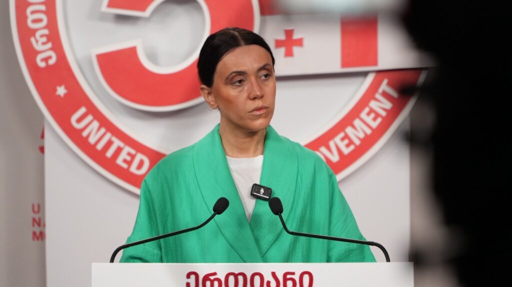 UNM's Tsitlidze: Salome Zourabichvili must clearly call for election boycott; no need for toasts